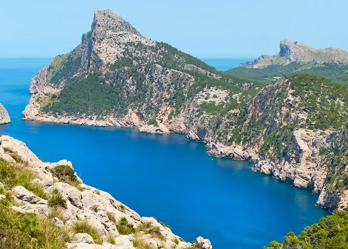 C095 Sort Llarga By Mallorca Selection * Польєнса