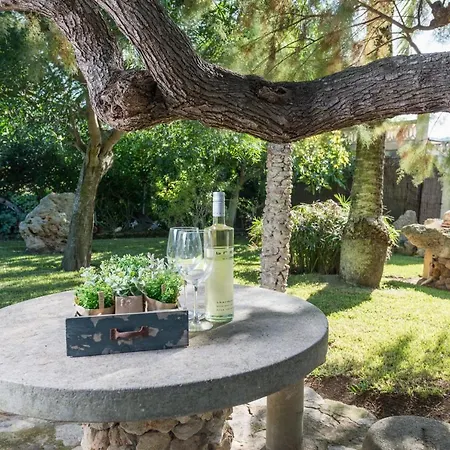 C095 Sort Llarga By Mallorca Selection * ポレンサ